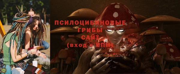 тгк Вяземский